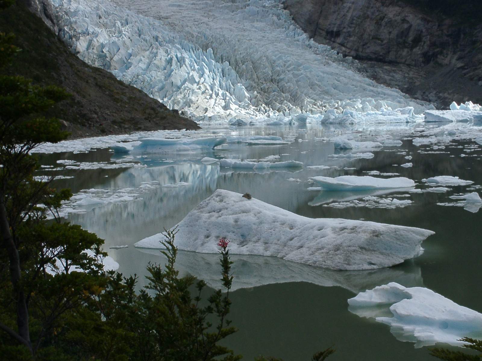 Glaciares Balmaceda y Serrano Patagonia Chile