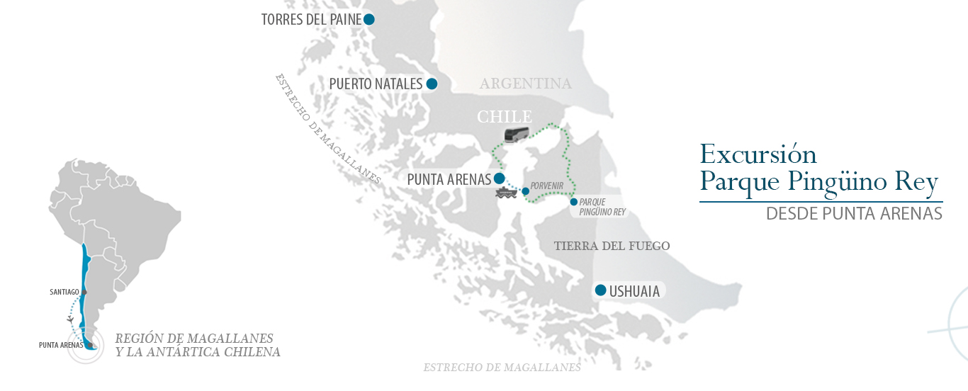 Mapa Pinguino Rey