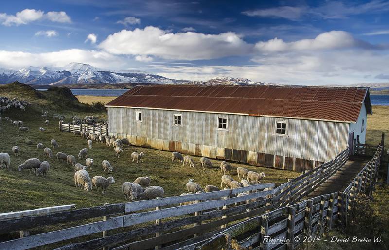 Estancias patagonicas Torres del Paine 