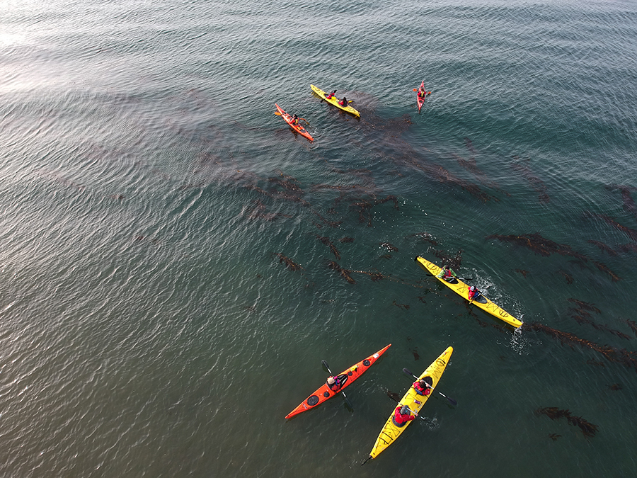 Kayak_puq