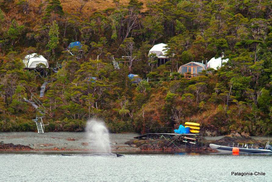 ecocamp